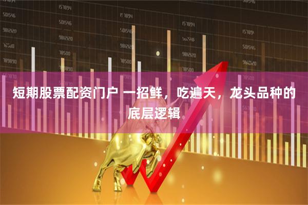 短期股票配资门户 一招鲜，吃遍天，龙头品种的底层逻辑