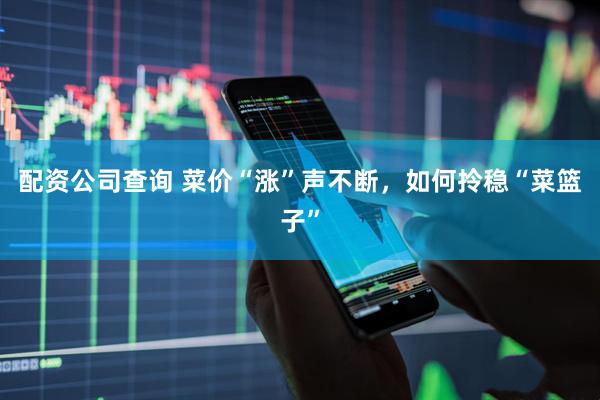 配资公司查询 菜价“涨”声不断，如何拎稳“菜篮子”