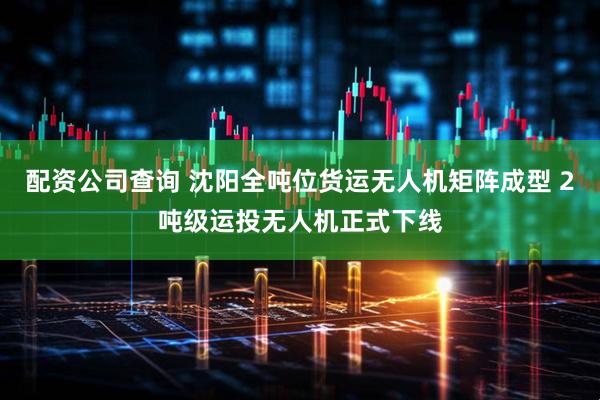 配资公司查询 沈阳全吨位货运无人机矩阵成型 2吨级运投无人机正式下线