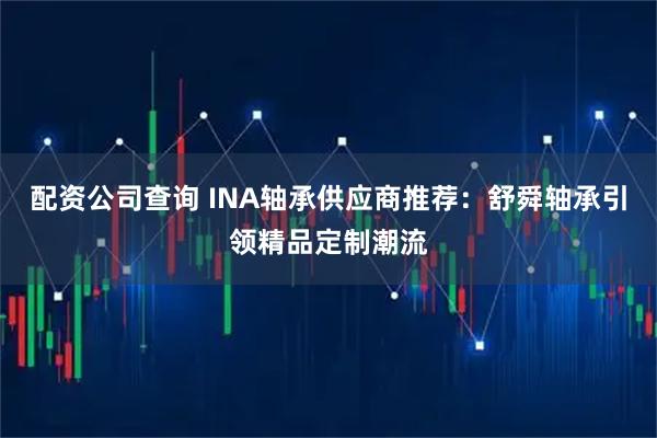 配资公司查询 INA轴承供应商推荐：舒舜轴承引领精品定制潮流