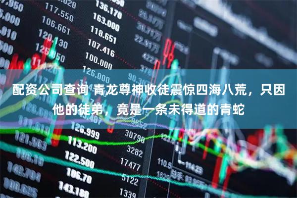 配资公司查询 青龙尊神收徒震惊四海八荒，只因他的徒弟，竟是一条未得道的青蛇