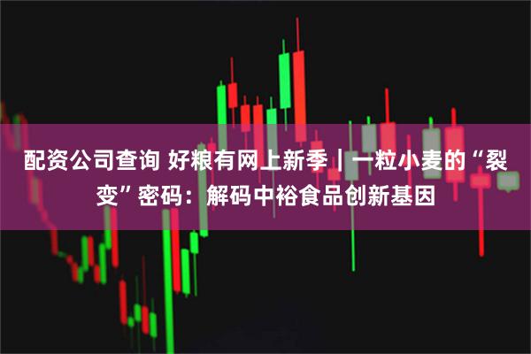 配资公司查询 好粮有网上新季｜一粒小麦的“裂变”密码：解码中裕食品创新基因