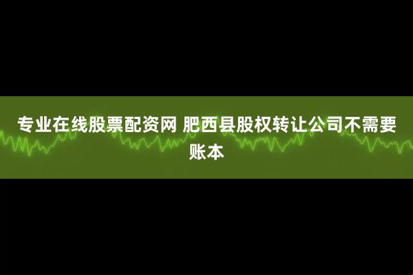 专业在线股票配资网 肥西县股权转让公司不需要账本