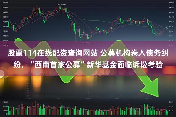 股票114在线配资查询网站 公募机构卷入债务纠纷，“西南首家公募”新华基金面临诉讼考验