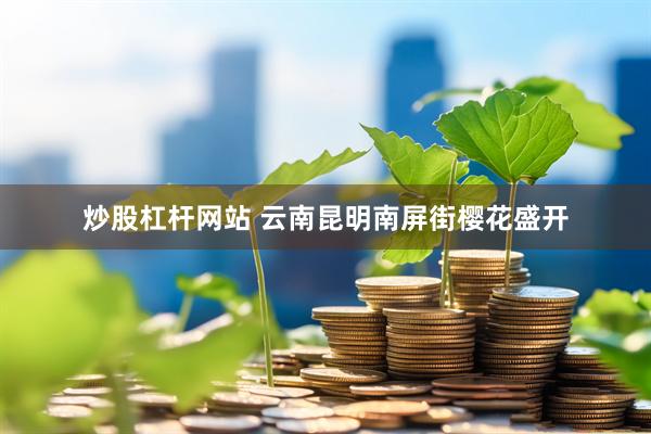 炒股杠杆网站 云南昆明南屏街樱花盛开