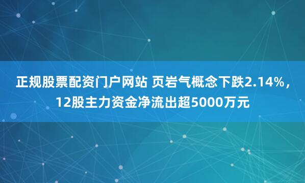 正规股票配资门户网站 页岩气概念下跌2.14%，12股主力资金净流出超5000万元