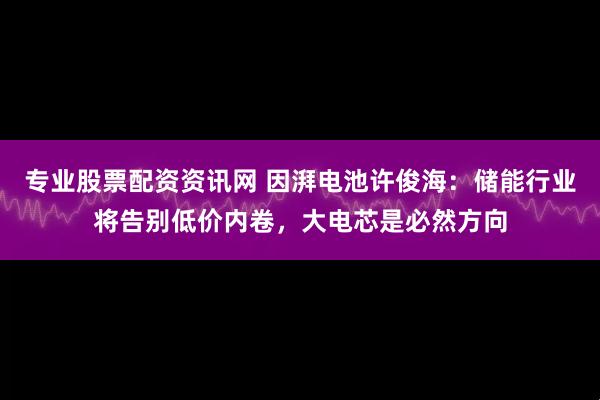 专业股票配资资讯网 因湃电池许俊海：储能行业将告别低价内卷，大电芯是必然方向